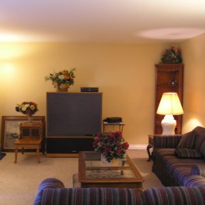 Ohana Care living room.jpg