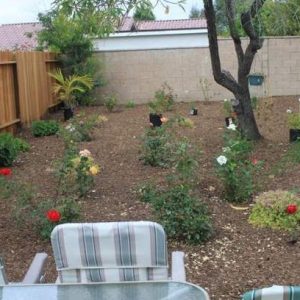 Olivera Residential Home 6 - rose garden.JPG