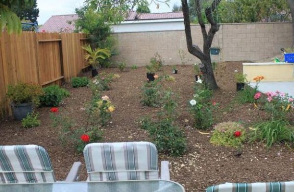 Olivera Residential Home 6 - rose garden.JPG