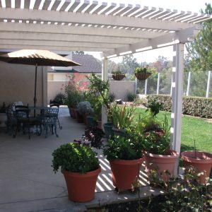 Pacific Breeze Home I back patio.jpg