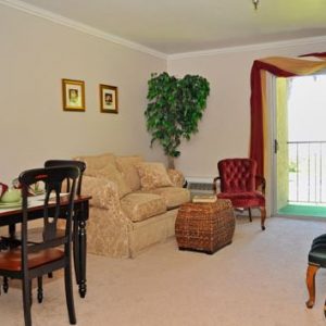 Pacifica Senior Living - Escondido 5 - apartment living room.JPG