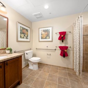 Pacifica Senior Living - Oceanside 6 - apartment bathroom.JPG