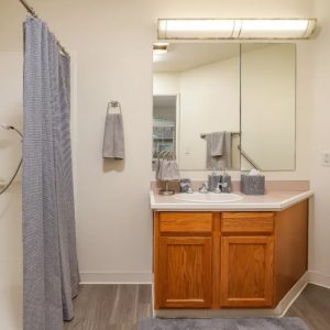 Pacifica Senior Living Poway apartment bathroom.jpg