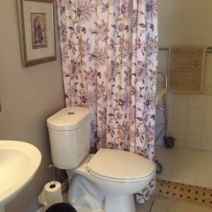 Paradise Residential Senior Care IV roll in shower.JPG