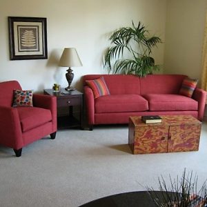 Paradise Village apartment living room 2.JPG