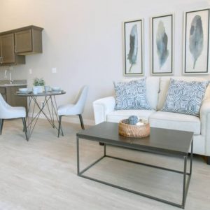 Park View Estates 5 - apartment living room.JPG