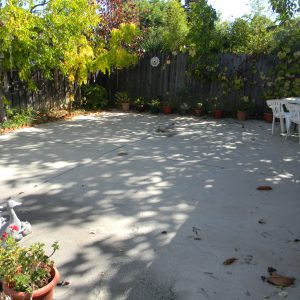 Pine Tree Home LLC patio.JPG