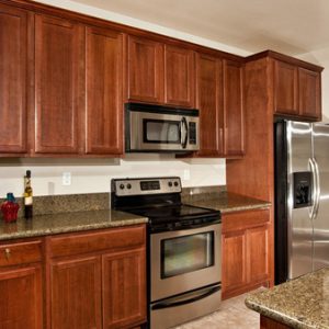 Plaza Village Senior Living apartment kitchen.jpg