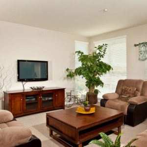 Plaza Village Senior Living apartment living room 2.jpg