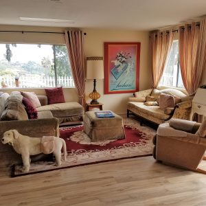 Point Loma Elder Care 4 - living room.jpg