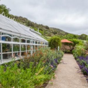 Poway Gardens Senior Living - Mountain Vistas Greenhouse garden.JPG