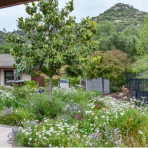 Poway Gardens Senior Living - Mountain Vistas Walking path.JPG