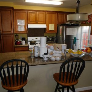 Premium Care Services 3 - kitchen.JPG