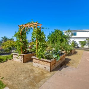 Rosemary Warmlands Senior Care, Inc 9 - vegtable garden.JPG