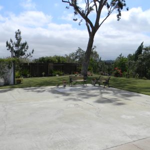 Rose's Canyon View Estate 6 - courtyard.jpg