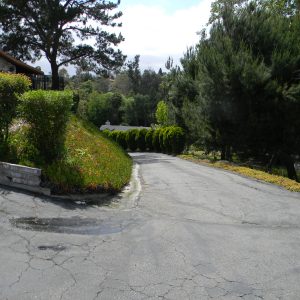 Rose's Canyon View Estate driveway.jpg