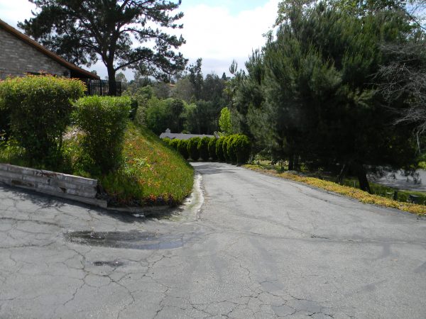 Rose's Canyon View Estate driveway.jpg