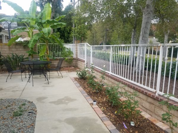 Sandy Creek Care Home backyard.jpg