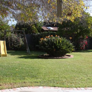 Sarasona Home Care back yard.JPG