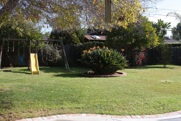 Sarasona Home Care back yard.JPG