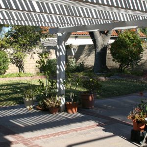 Serene Valley Care Home 6 - patio.JPG