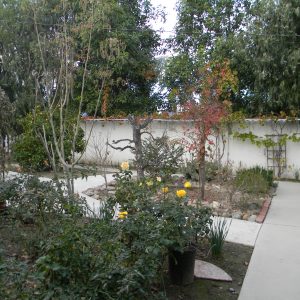 Silver Heart Chateau garden.JPG