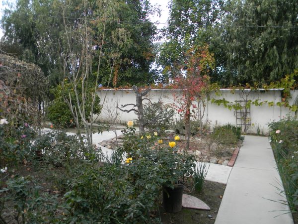 Silver Heart Chateau garden.JPG