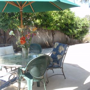 Sonia's Care Home 6 - patio.JPG