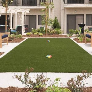 Sunnycrest Senior Living putting green.JPG