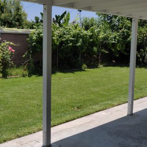 Sunnyvale garden 2.jpg