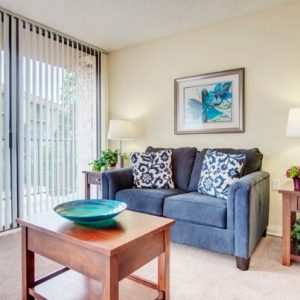 The Meridian at Laguna Hills apartment living room.JPG