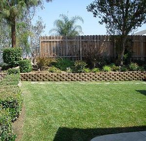 Via Tercero Homes 6 - backyard.JPG