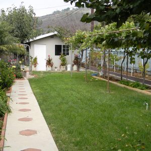 Woodland Borden Care garden 3.JPG