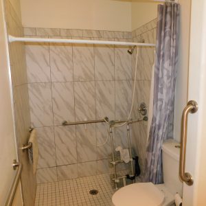 aurys-home-care-5-shower.jpg