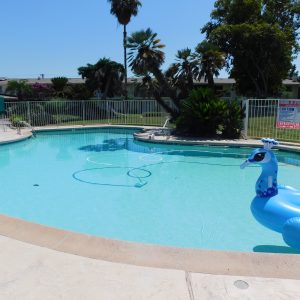 grossmont-gardens-senior-living-community-pool.jpg