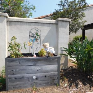 la-vida-real-raised-garden-beds.jpg