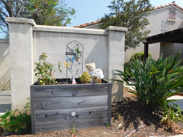 la-vida-real-raised-garden-beds.jpg