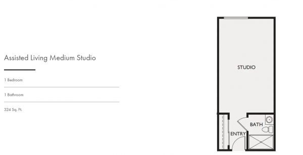 the-montera-floor-plan-al-studio-medium.jpg