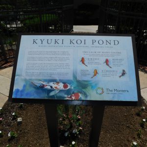 the-montera-koi-pond-sign.jpg