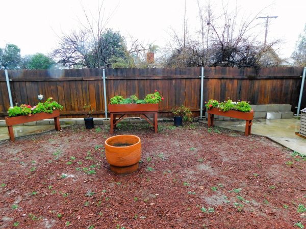 escondido-retirement-garden-9-garden-beds.jpg