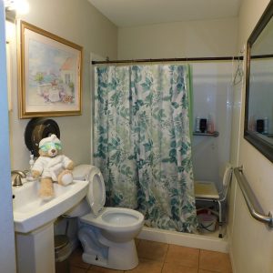 elderly-haven-6-bathroom.jpg