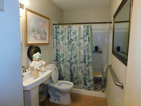 elderly-haven-6-bathroom.jpg