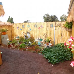 p-p-homes-inc-backyard.jpg