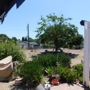 kameron-place-llc-patio-view.jpg